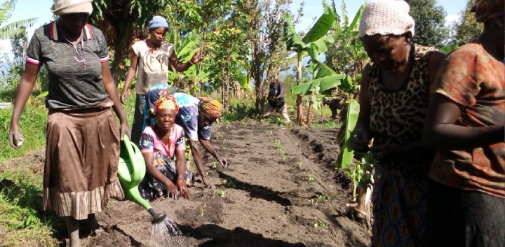 Livelihoods & Land